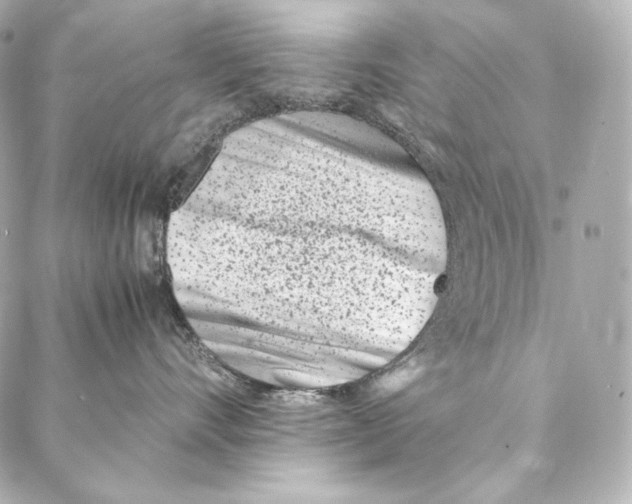 X0000086970528200705141654