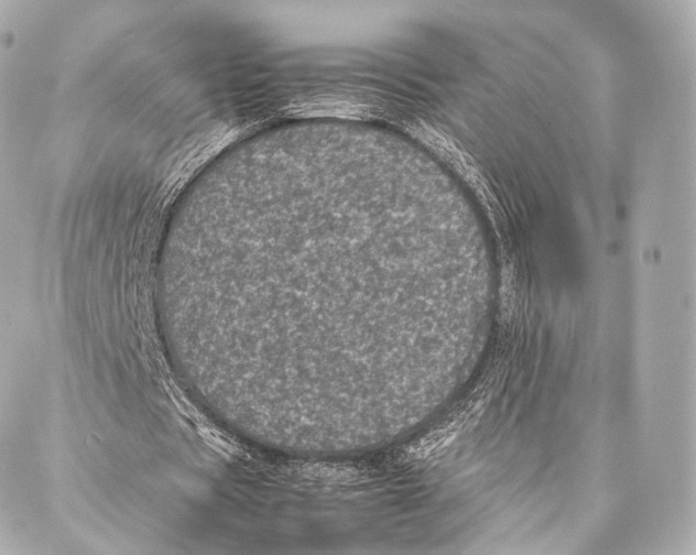 X0000086970529200705141653