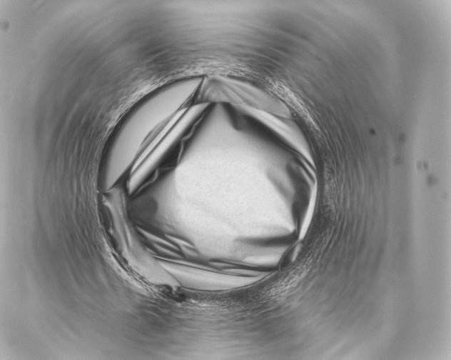 X0000086970530200705141653