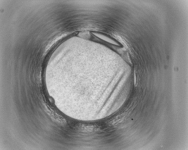 X0000086970531200705141653