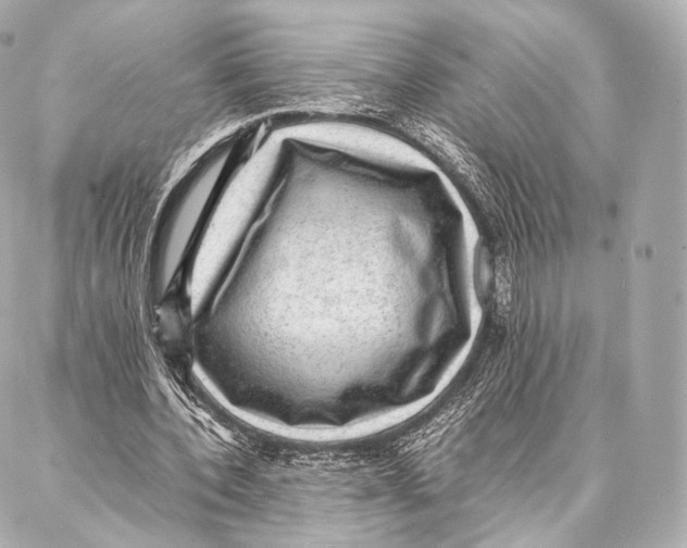 X0000086970532200705141653