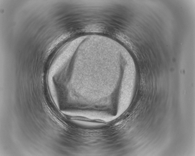 X0000086970535200705141653