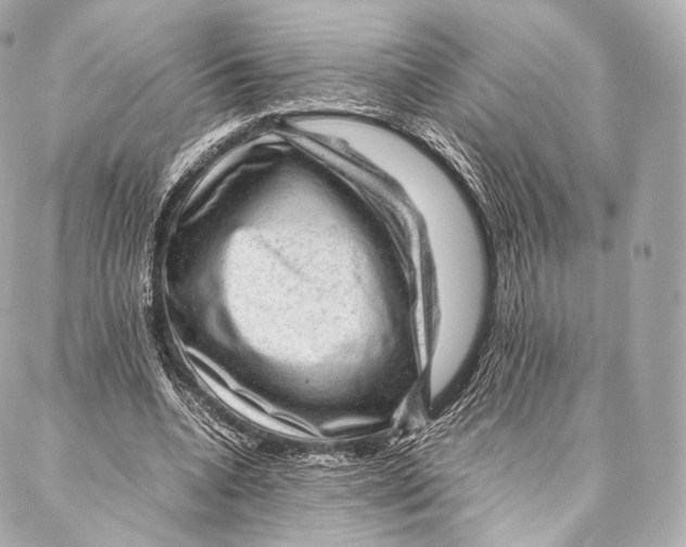 X0000086970536200705141653