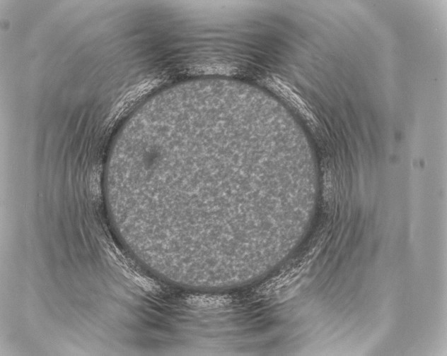 X0000086970537200705141653