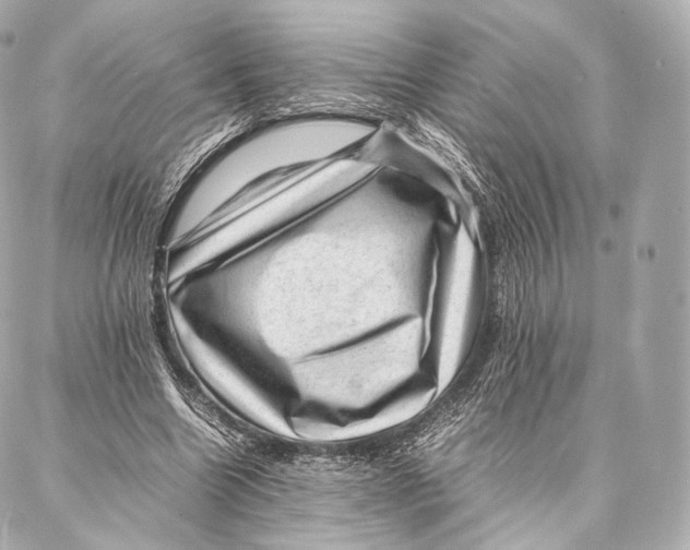 X0000086970538200705141653