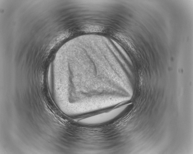 X0000086970539200705141653