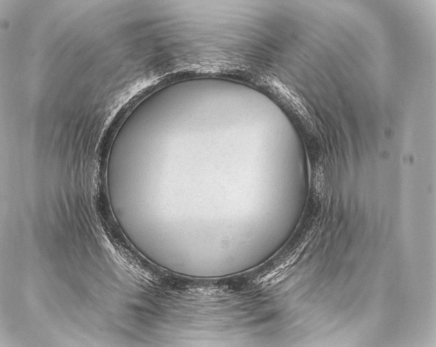 X0000086970540200705141653