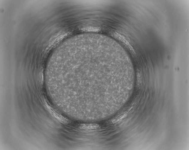 X0000086970541200705141653