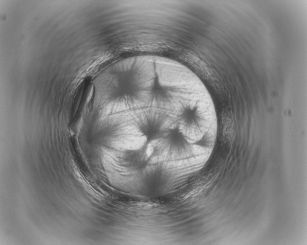 X0000086970542200705141653