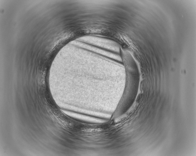 X0000086970543200705141653