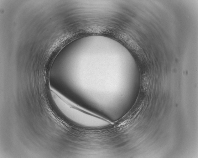 X0000086970544200705141653