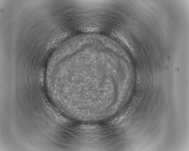 X0000086970545200705141653