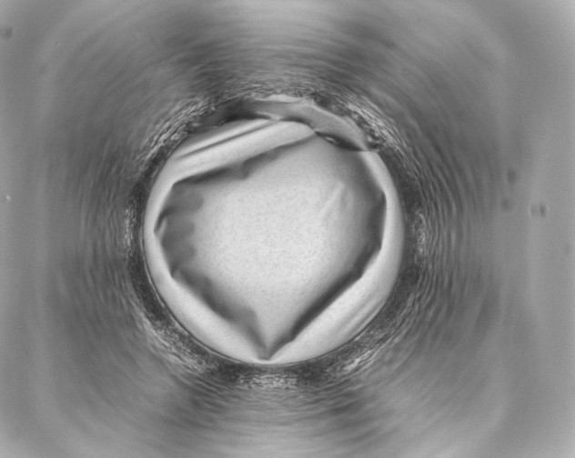 X0000086970546200705141653