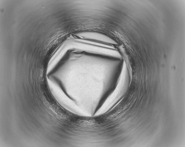 X0000086970548200705141653