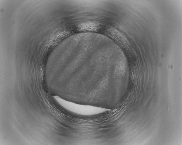 X0000086970551200705141653