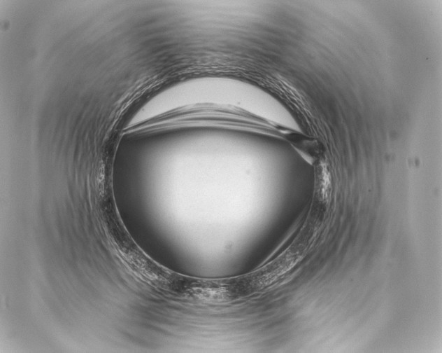 X0000086970552200705141653