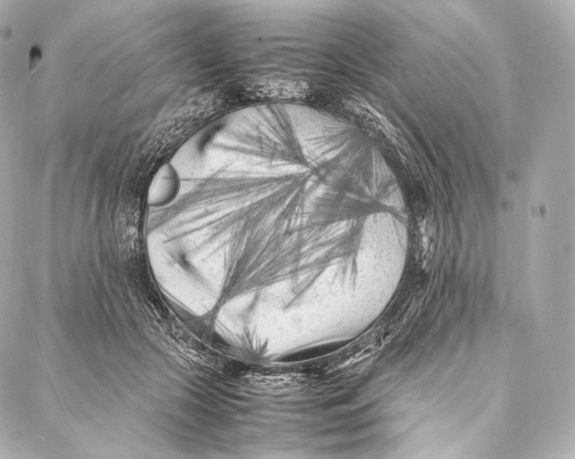 X0000086970553200705141653