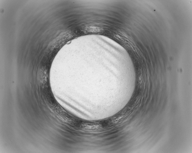 X0000086970555200705141653