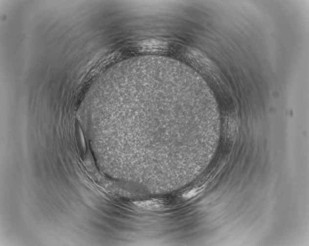 X0000086970557200705141653