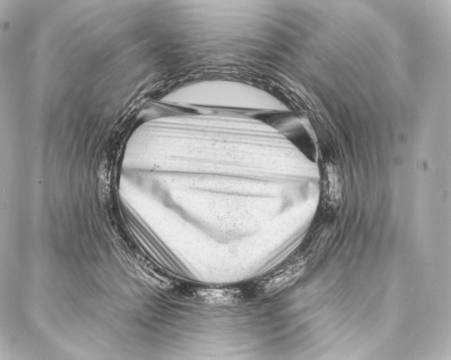 X0000086970558200705141653