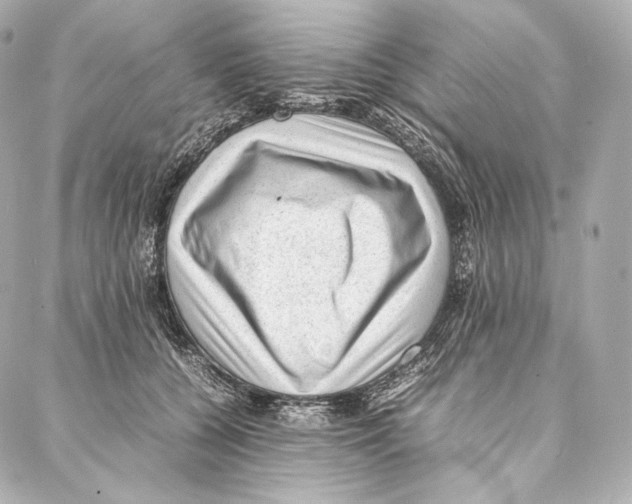 X0000086970560200705141653