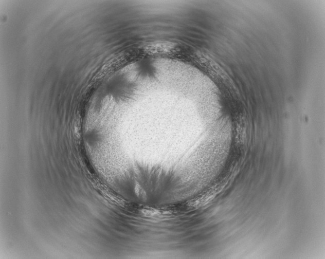 X0000086970561200705141654