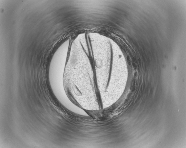 X0000086970564200705141654