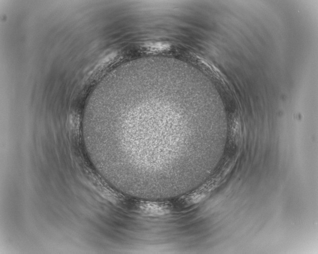 X0000086970565200705141654