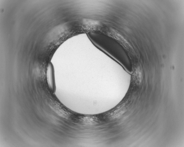 X0000086970566200705141654