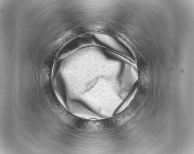 X0000086970570200705141654