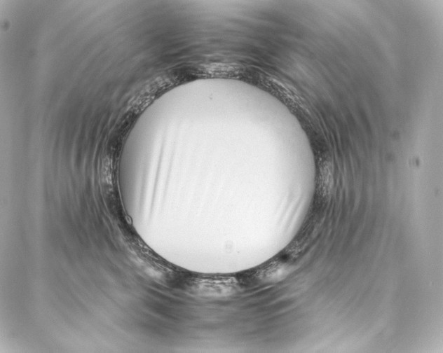 X0000086970571200705141654