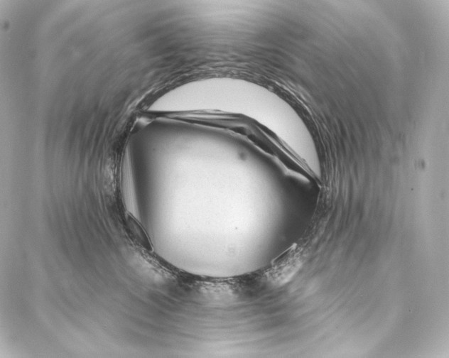 X0000086970572200705141654