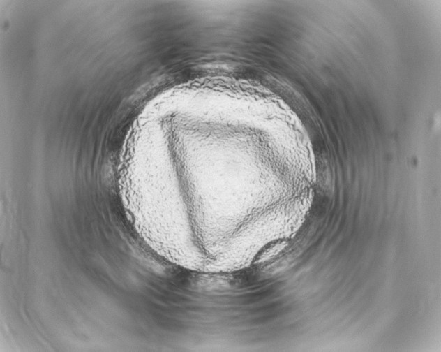 X0000086970573200705141654