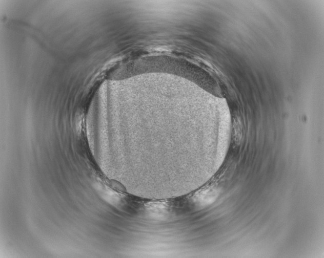 X0000086970574200705141654