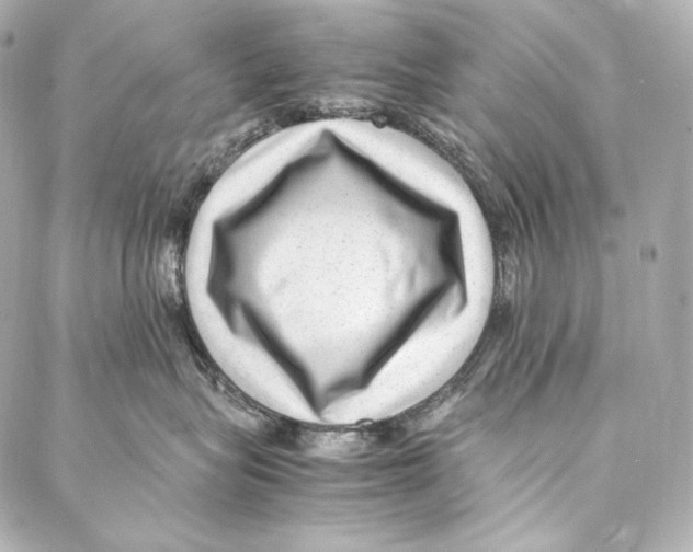 X0000086970575200705141654