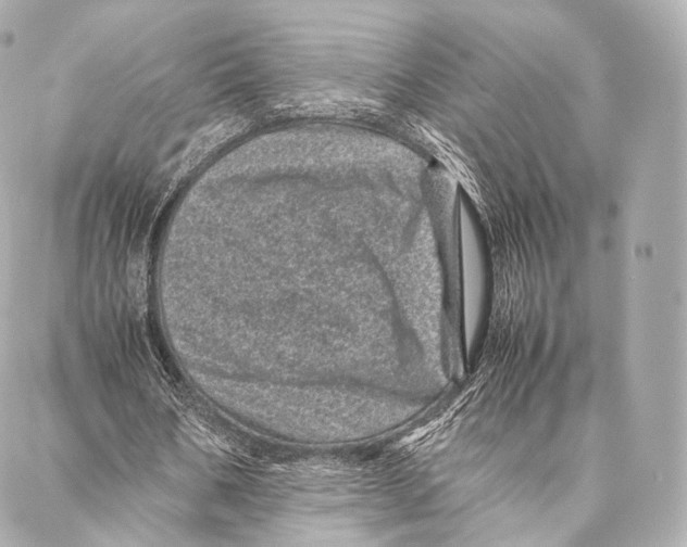 X0000086970578200705141653