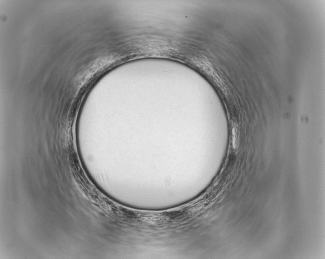 X0000086970579200705141653