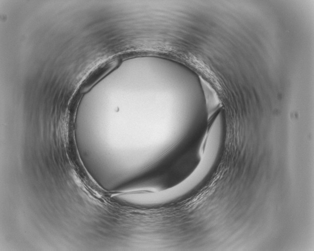 X0000086970580200705141653