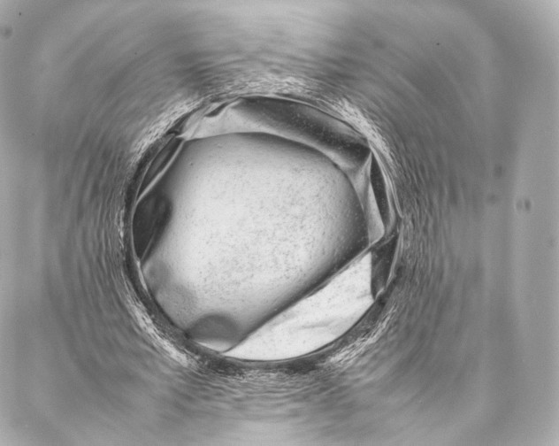 X0000086970581200705141653