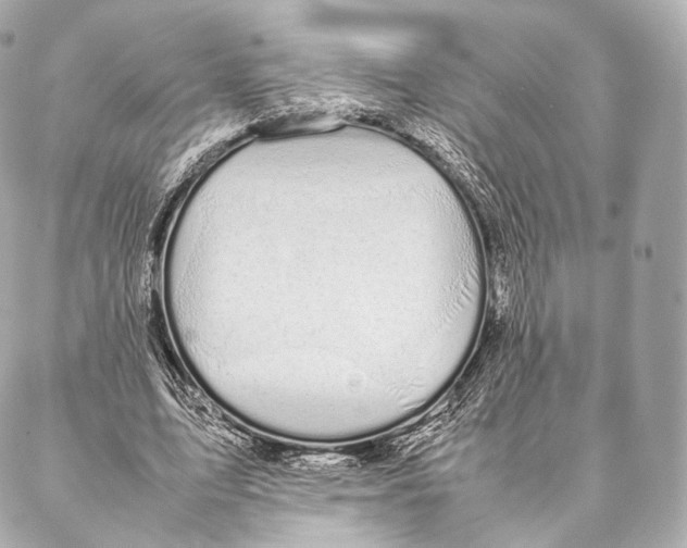 X0000086970583200705141653