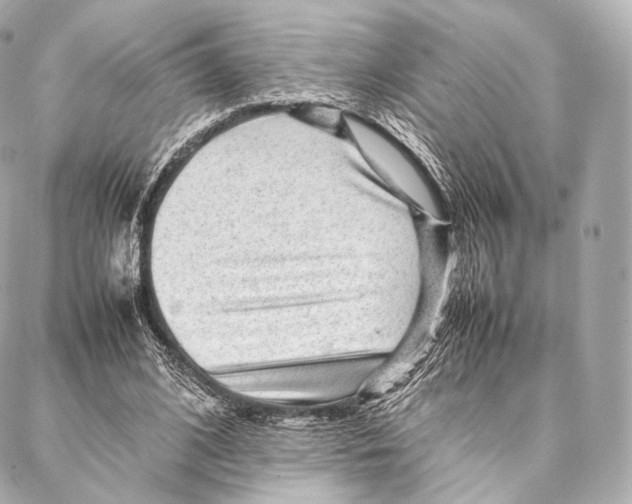 X0000086970584200705141653