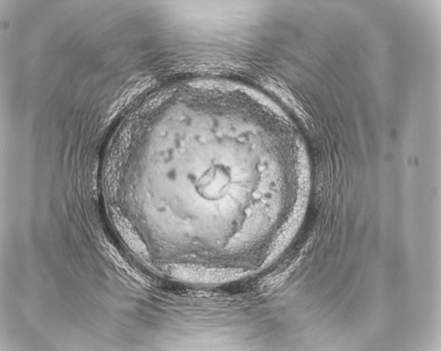 X0000086970585200705141653