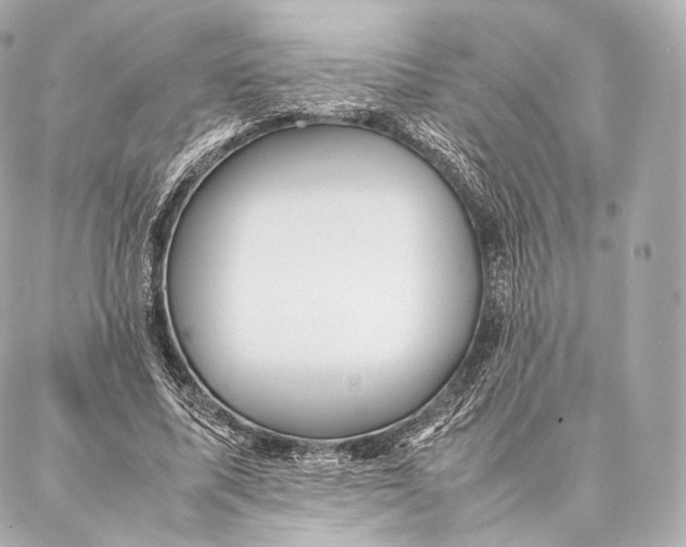 X0000086970587200705141653