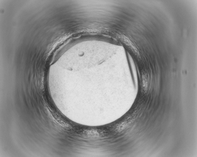 X0000086970588200705141653