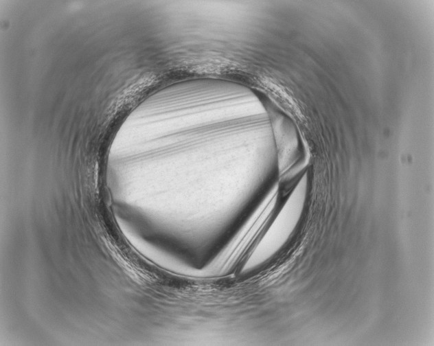 X0000086970589200705141653