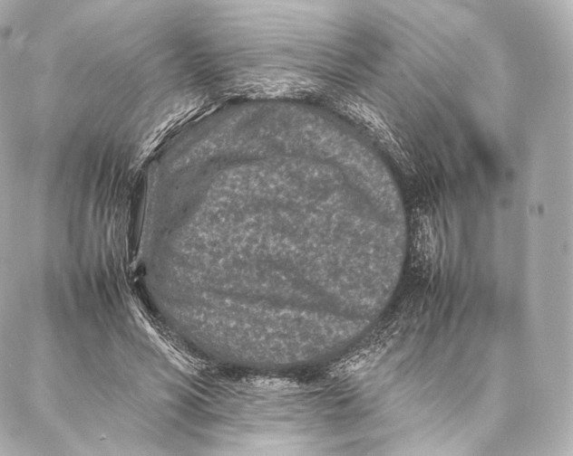 X0000086970590200705141653