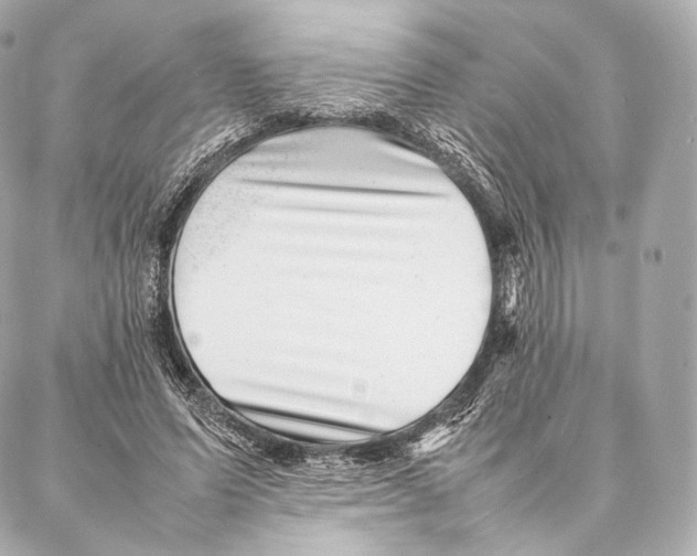 X0000086970591200705141653