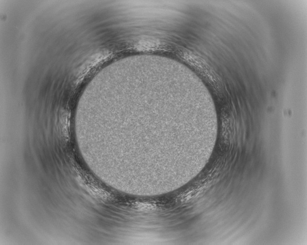 X0000086970592200705141653