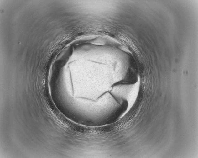 X0000086970593200705141653