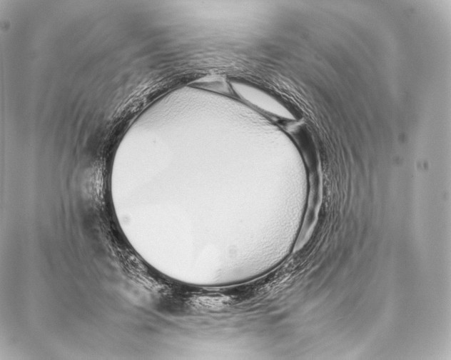 X0000086970595200705141653